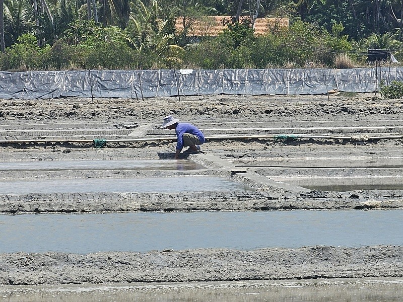 Du lịch cộng đồng sản xuất muối Tuyết Diêm, xã Xuân Bình, TX Sông Cầu  Du lịch cộng đồng sản xuất muối Tuyết Diêm, xã Xuân Bình, TX Sông Cầu