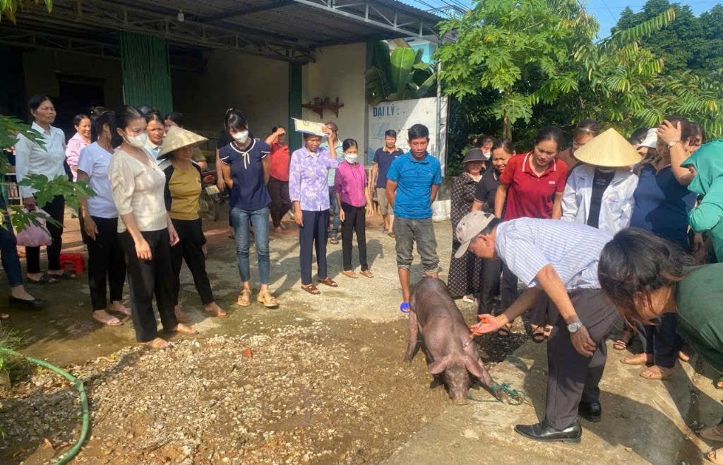 Thanh Hoá: Tăng cường đào tạo nghề cho lao động làng nghề vùng nông thôn, vùng đặc biệt khó khăn Thanh Hoá: Tăng cường đào tạo nghề cho lao động làng nghề vùng nông thôn, vùng đặc biệt khó khăn