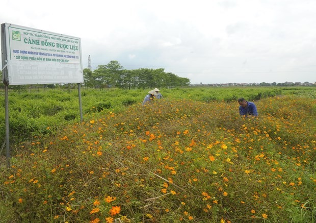 Nông thôn mới Sóc Sơn bứt phá mạnh mẽ năm 2024 Nông thôn mới Sóc Sơn bứt phá mạnh mẽ năm 2024