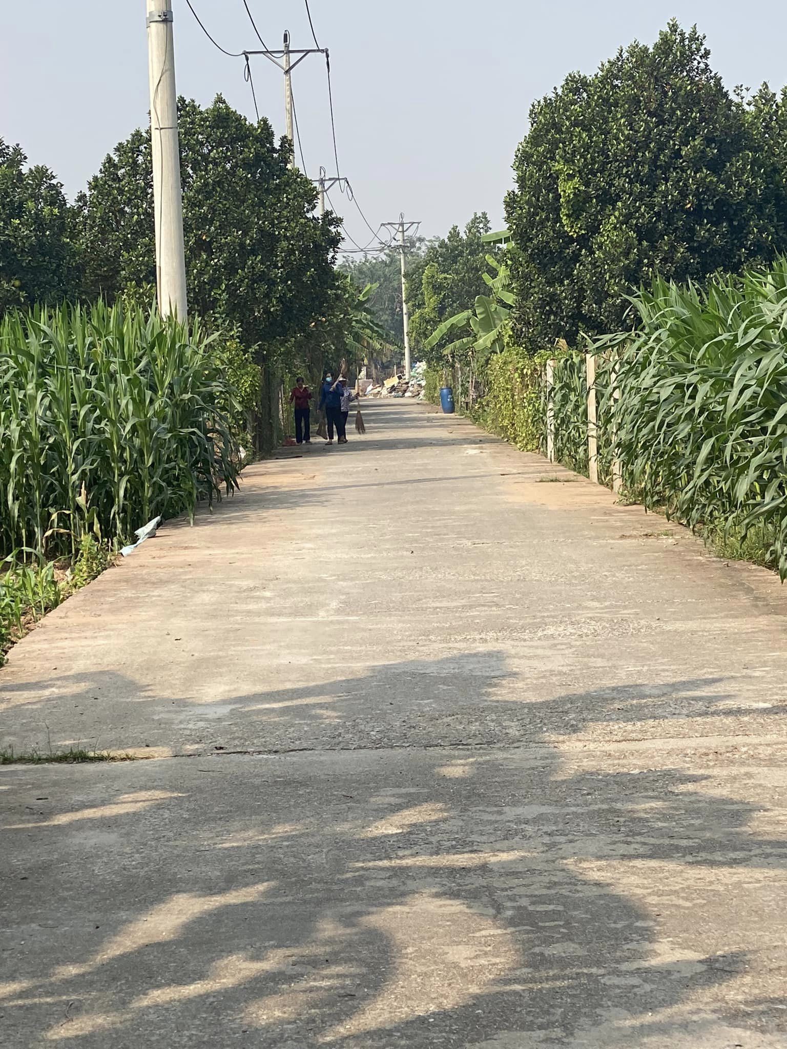 Phúc Thọ: Diện mạo nông thôn mới có nhiều đổi thay tích cực Phúc Thọ: Diện mạo nông thôn mới có nhiều đổi thay tích cực