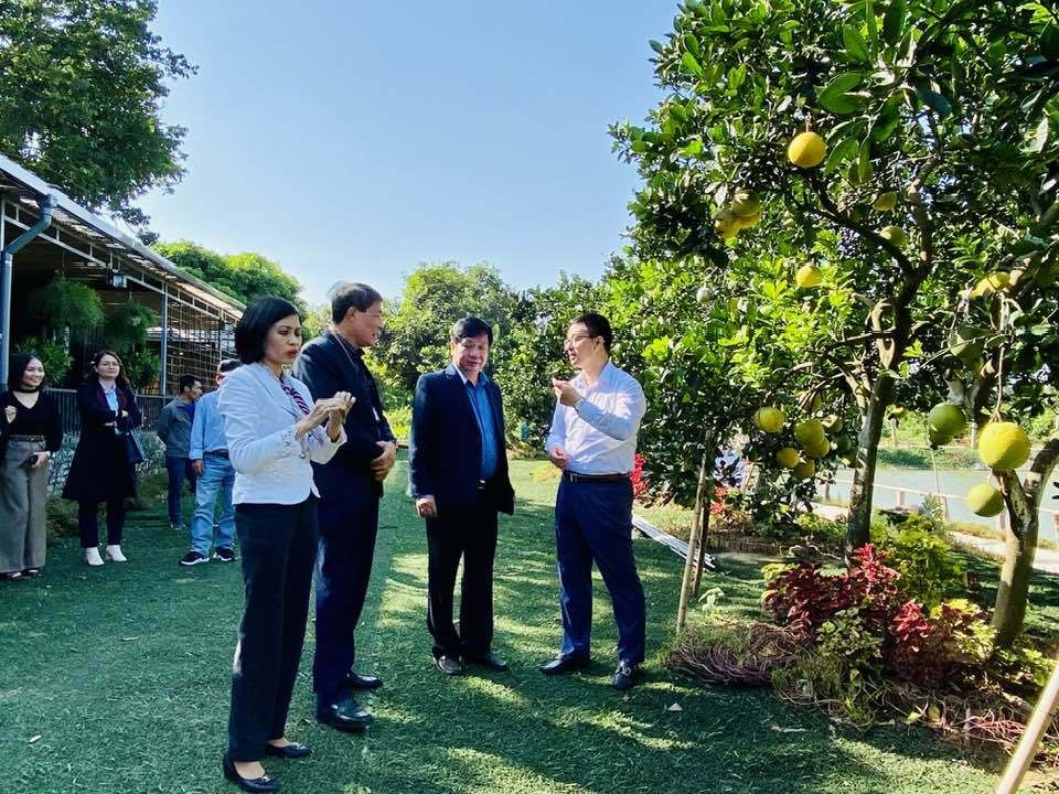 Thanh Trì: Huyện đầu tiên của Hà Nội đạt chuẩn nông thôn mới nâng cao Thanh Trì: Huyện đầu tiên của Hà Nội đạt chuẩn nông thôn mới nâng cao