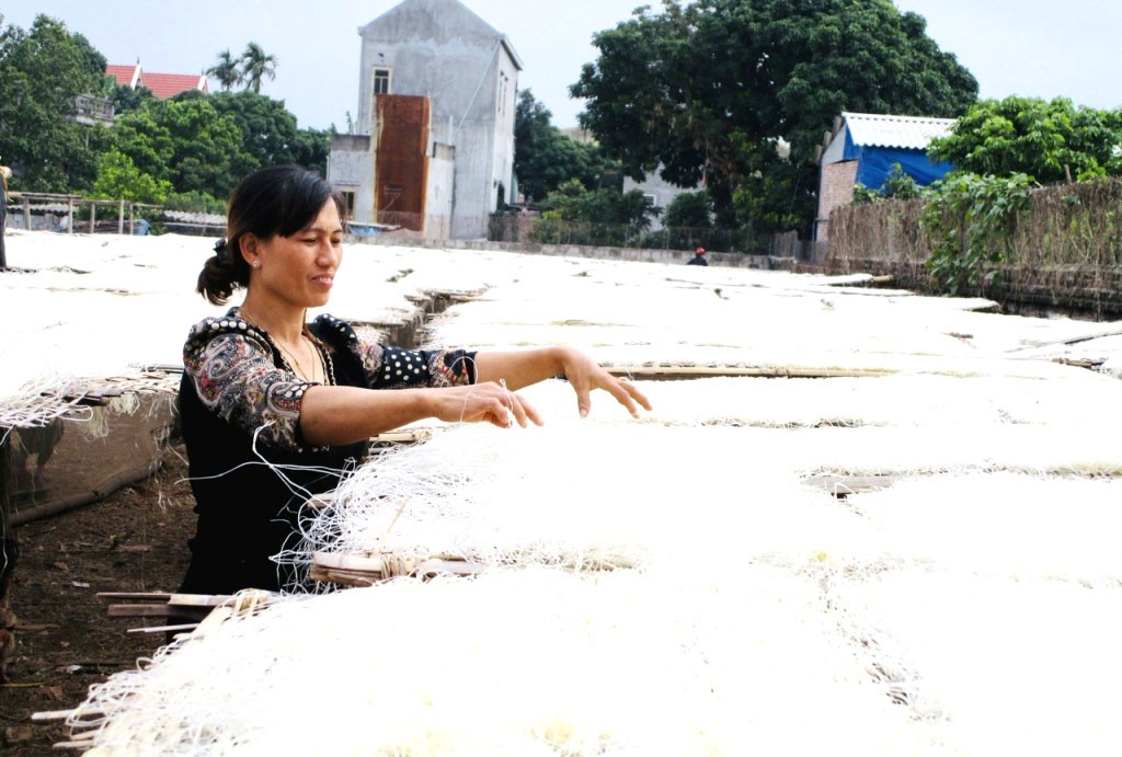 Từ tháng 10 (âm lịch), các hộ làm nghề tại làng nghề miến dong Lại Trạch, xã Yên Phú (Yên Mỹ) tất bật sản xuất những đơn hàng phục vụ thị trường Tết Nguyên đán Từ tháng 10 (âm lịch), các hộ làm nghề tại làng nghề miến dong Lại Trạch, xã Yên Phú (Yên Mỹ) tất bật sản xuất những đơn hàng phục vụ thị trường Tết Nguyên đán