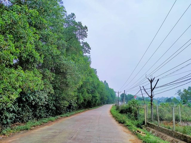 Huyện Ba Vì: Điểm sáng trong xây dựng nông thôn mới Huyện Ba Vì: Điểm sáng trong xây dựng nông thôn mới