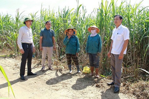 Huyện Thạch Thành (Thanh Hóa): Hiệu quả từ các dự án giảm nghèo bền vững