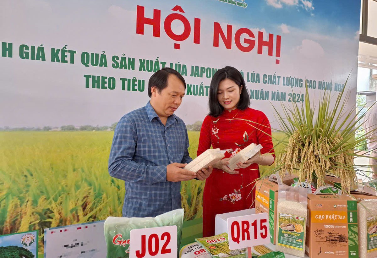 Để giúp nông dân nâng cao giá trị từ cây lúa, Ứng Hòa đã hoàn thành việc xây dựng nhãn hiệu “Gạo chất lượng Khu Cháy” và giao cho Hợp tác xã sản xuất, kinh doanh dịch vụ nông nghiệp Đoàn Kết sử dụng để nâng cao giá trị hàng hóa… Để giúp nông dân nâng cao giá trị từ cây lúa, Ứng Hòa đã hoàn thành việc xây dựng nhãn hiệu “Gạo chất lượng Khu Cháy” và giao cho Hợp tác xã sản xuất, kinh doanh dịch vụ nông nghiệp Đoàn Kết sử dụng để nâng cao giá trị hàng hóa…