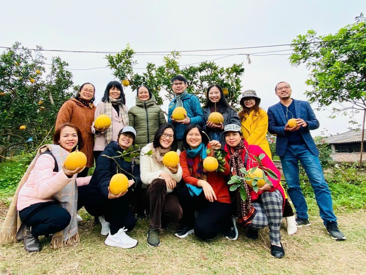 Vinh Hà (Phú Xuyên): Duy trì và phát triển chuỗi liên kết rau an toàn chất lượng cao