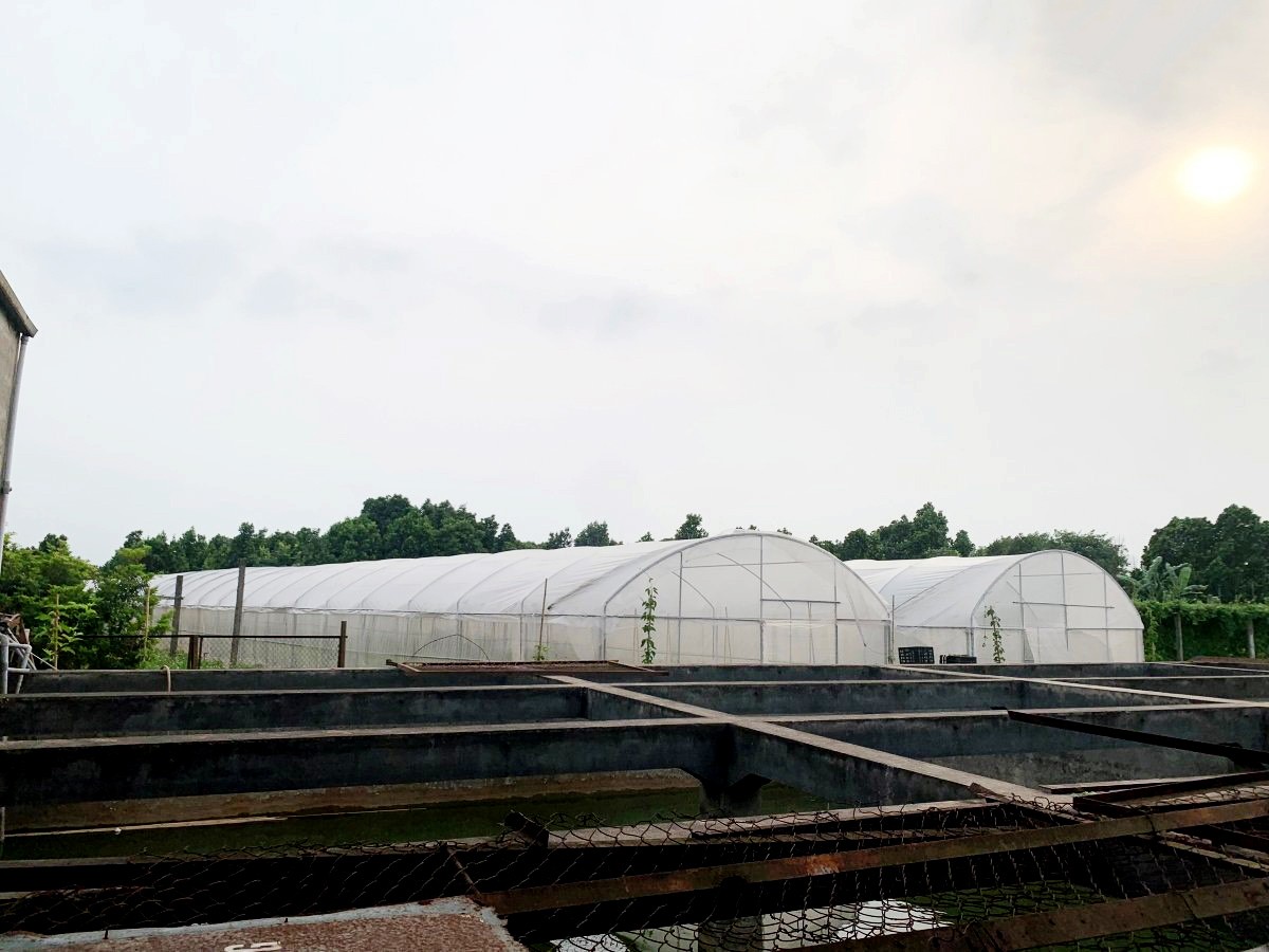 Để phục vụ cho quá trình sản xuất, HTX xây dựng hệ thống nhà lưới đối với các loại giống ngắn ngày, ngoài ra có bể chứa nước cũng như “nhà máy lọc nước HTX Dịch vụ tổng hợp Hòa Bình phát triển sản xuất rau an toàn theo chuỗi