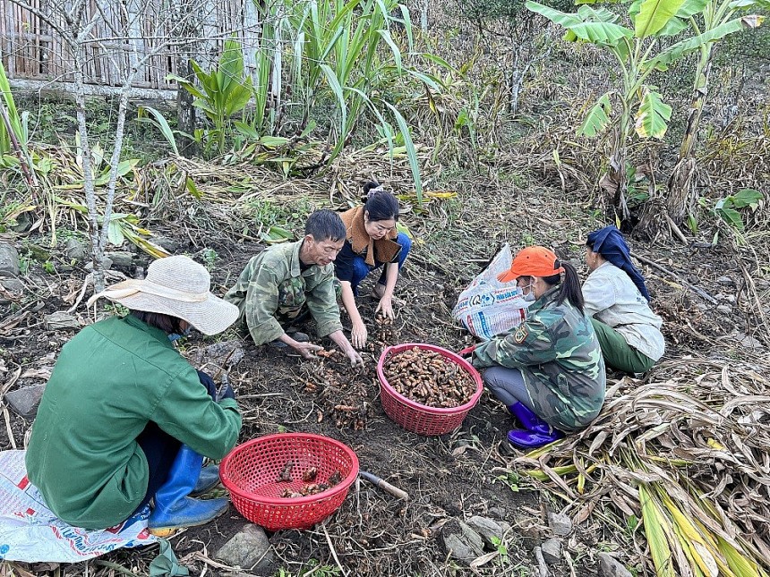 Quá trình phát triển bền vững trong nông nghiệp cần đảm bảo tăng trưởng ổn định, tạo việc làm, thu nhập và chú trọng công tác giảm nghèo