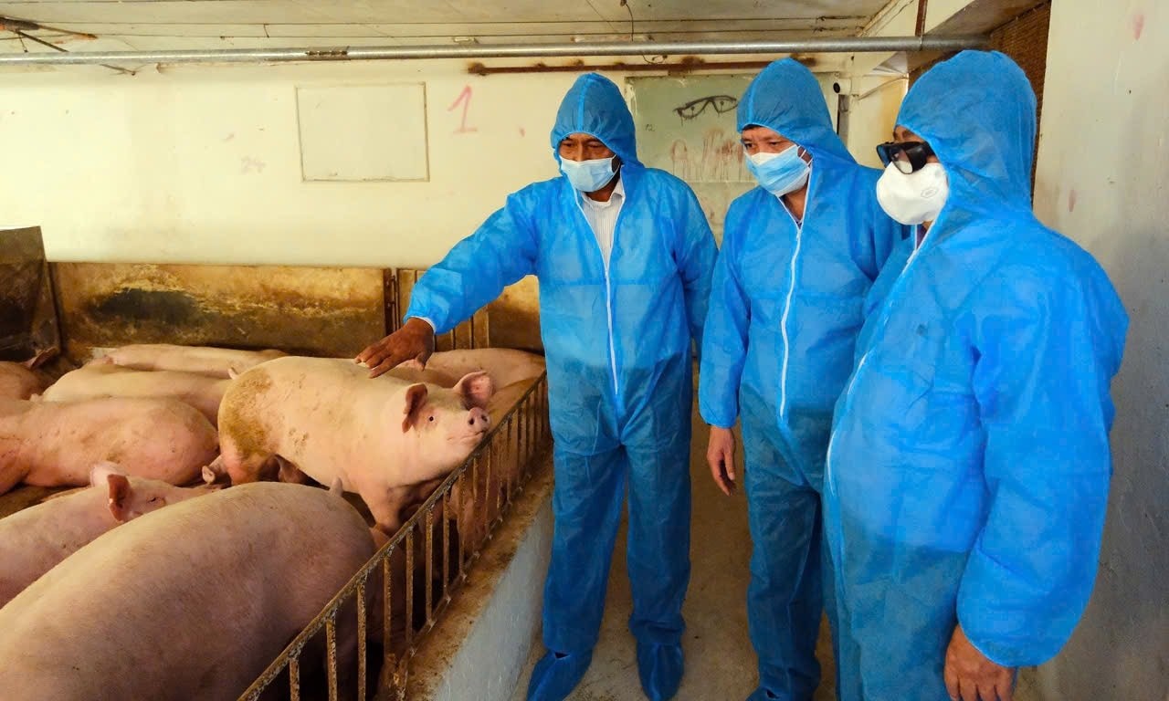 Xây dựng sản xuất nông nghiệp theo chuỗi giá trị: Hướng đi hiệu quả