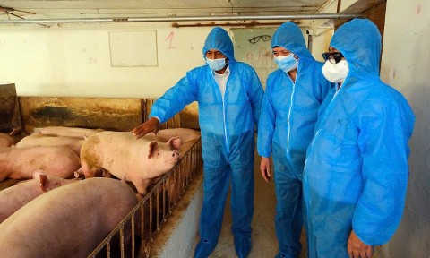 Xây dựng sản xuất nông nghiệp theo chuỗi giá trị: Hướng đi hiệu quả