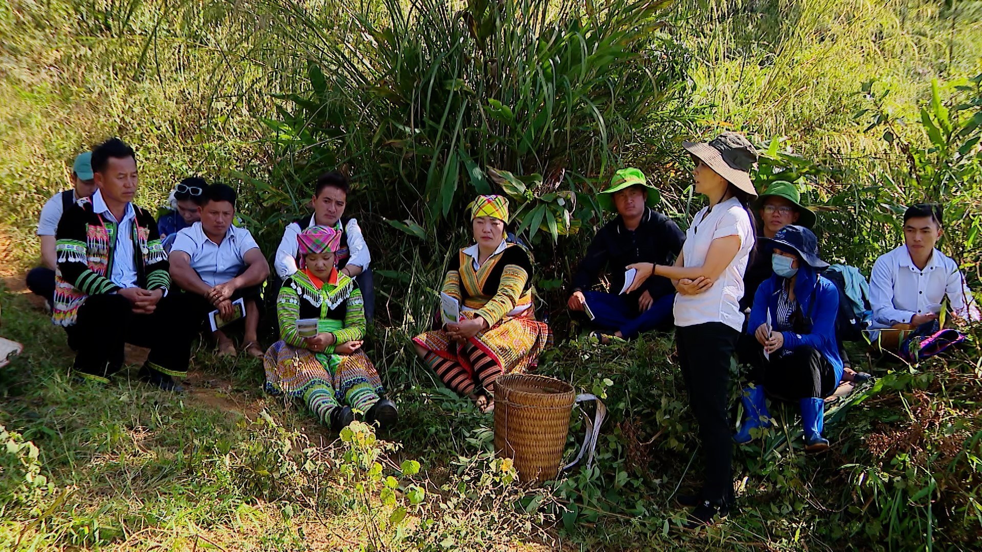 Người Mông Trạm Tấu tập huấn kỹ thuật canh tác cây khoai sọ nương. Người Mông Trạm Tấu tập huấn kỹ thuật canh tác cây khoai sọ nương.