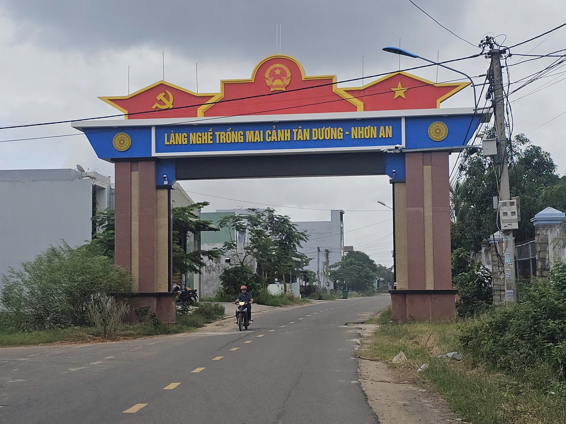 Bình Định: Làng nghề trồng mai tất bật chuẩn bị vụ Tết Bình Định: Làng nghề trồng mai tất bật chuẩn bị vụ Tết