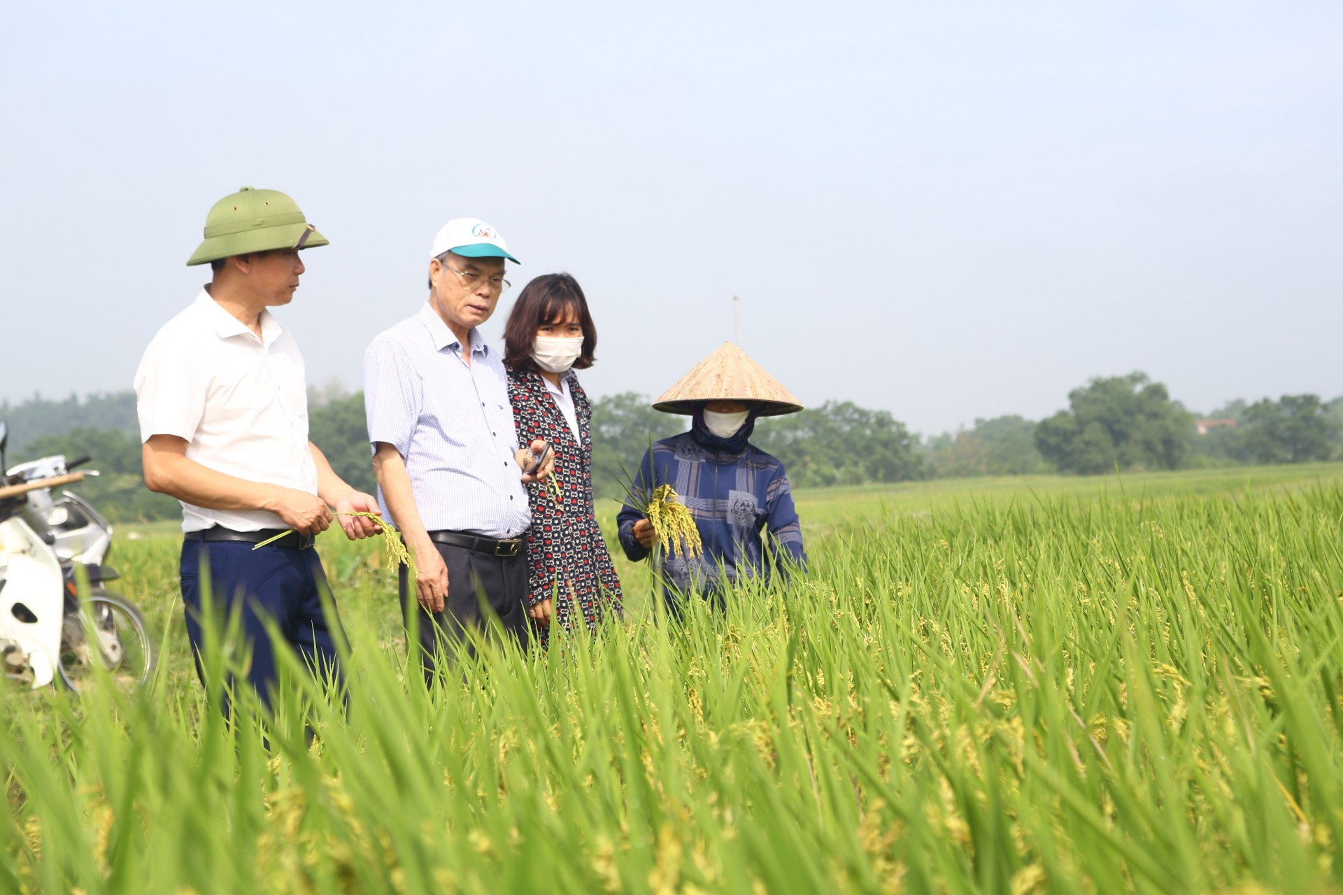 Xã Nam Phương Tiến (huyện Chương Mỹ) có điều kiện tự nhiên rất thuận lợi cho sản xuất nông nghiệp, đặc biệt là nông nghiệp hữu cơ và hướng hữu cơ. 