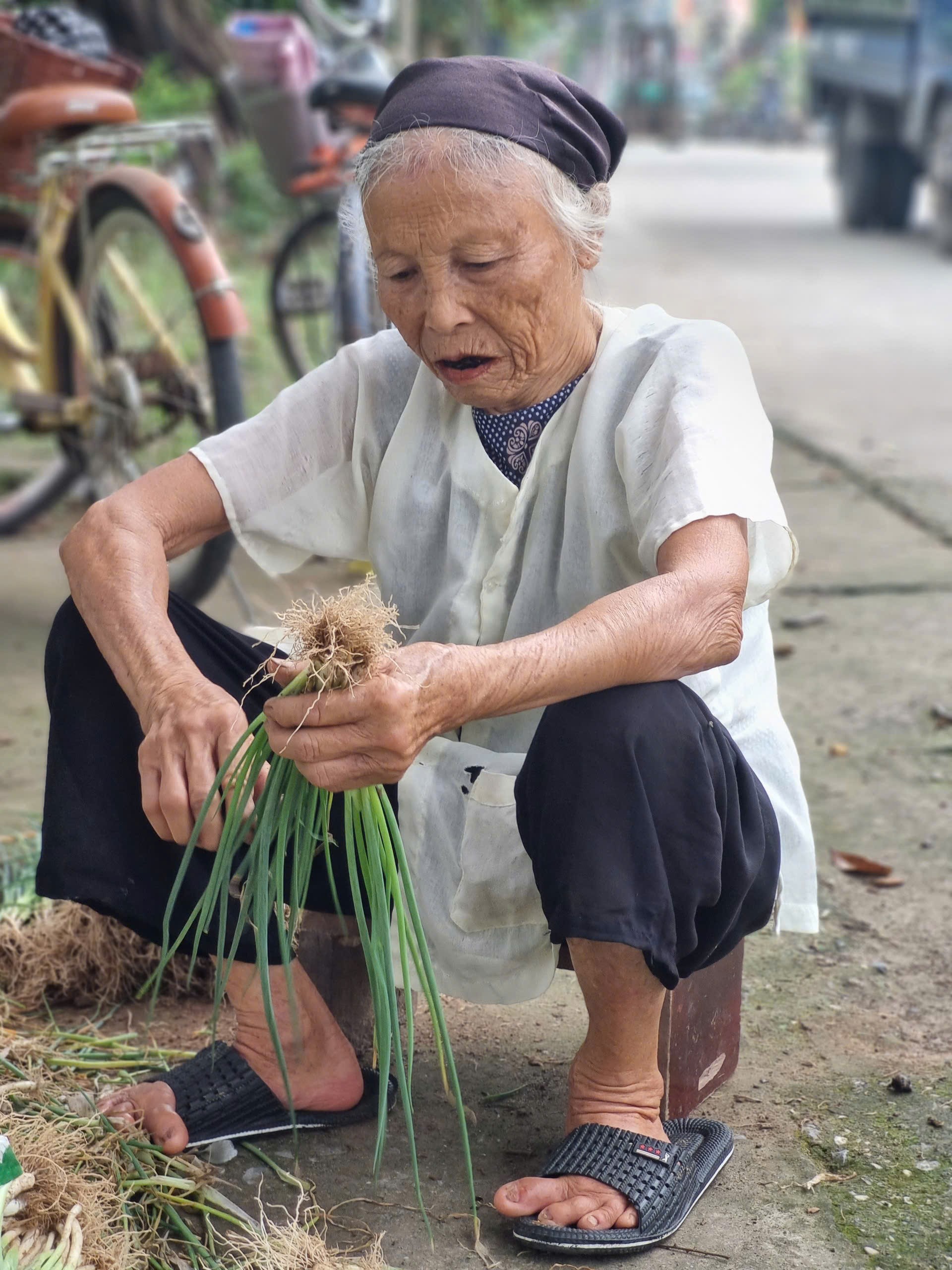 Mô hình trồng hành lá tạo việc làm cho nhiều laio động nhàn rỗi tại địa phương