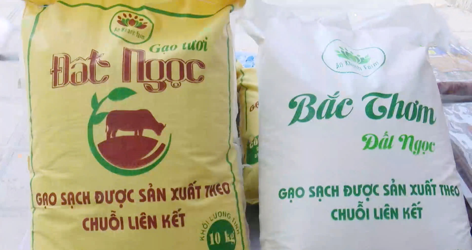 Gạo QUốc Oai Gạo QUốc Oai