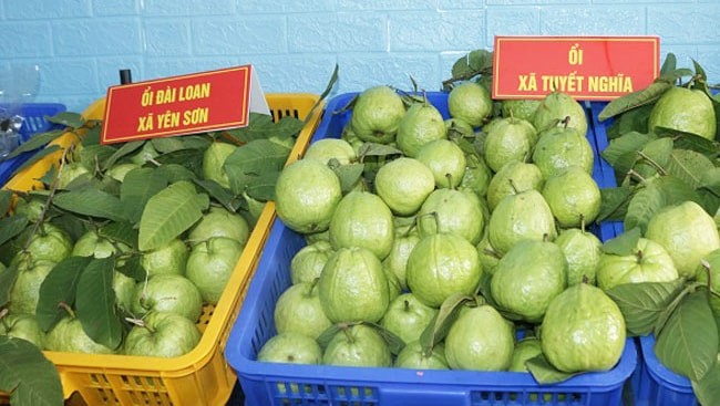 Những sản phẩm Nông sản được HTX Nông sản QUốc Oai liên kết tiêu thụ cho bà con. Những sản phẩm Nông sản được HTX Nông sản QUốc Oai liên kết tiêu thụ cho bà con.