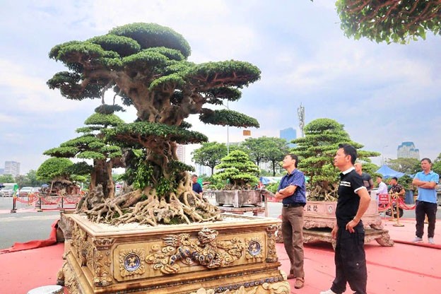 Nhiều tác phẩm sinh vật cảnh độc đáo được trưng bài tại sự kiện. Nhiều tác phẩm sinh vật cảnh độc đáo được trưng bài tại sự kiện.