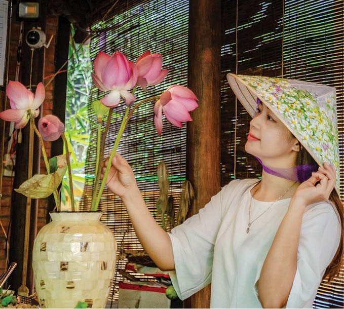 Nón lá bàng Nón lá bàng