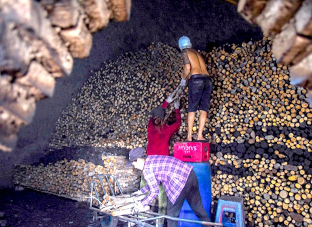 Những tour du lịch cà phê cũng đang rất được ưa chuộm.