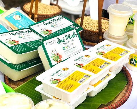 cay do tuong thuan viet thanh san pham sach chong bien doi gen