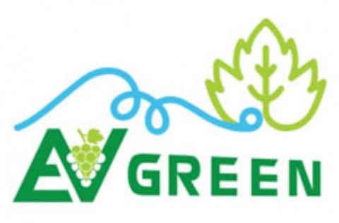 HTX nho Ninh Thuận EVERGREEN: Hành trình nâng tầng giá trị nông sản Việt