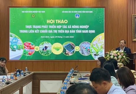 hoi thao thuc trang phat trien hop tac xa nong nghiep trong lien ket chuoi gia tri tren dia ban tinh nam dinh khang dinh vai tro then chot cua cua htx trong cac chuoi gia tri nong san