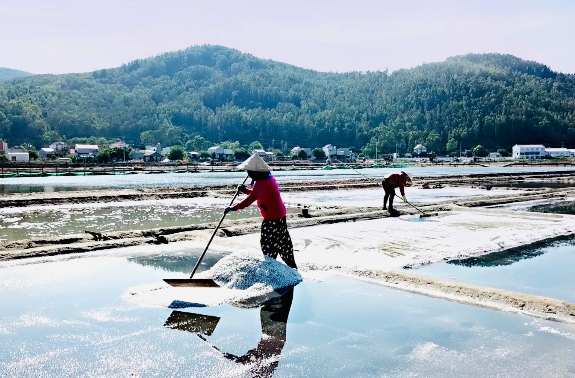 Quảng Ngãi: Nghề làm muối Sa Huỳnh được công nhận là Di sản văn hóa phi vật thể quốc gia Quảng Ngãi: Nghề làm muối Sa Huỳnh được công nhận là Di sản văn hóa phi vật thể quốc gia