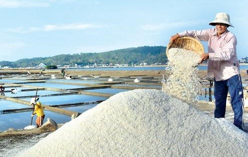 Quảng Ngãi: Nghề làm muối Sa Huỳnh được công nhận là Di sản văn hóa phi vật thể quốc gia Quảng Ngãi: Nghề làm muối Sa Huỳnh được công nhận là Di sản văn hóa phi vật thể quốc gia