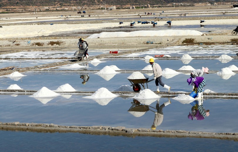 Nâng tầm giá trị hạt muối thông qua Festival nghề muối Việt Nam 2025 Nâng tầm giá trị hạt muối thông qua Festival nghề muối Việt Nam 2025