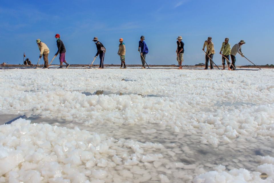Nâng tầm giá trị hạt muối thông qua Festival nghề muối Việt Nam 2025 Nâng tầm giá trị hạt muối thông qua Festival nghề muối Việt Nam 2025