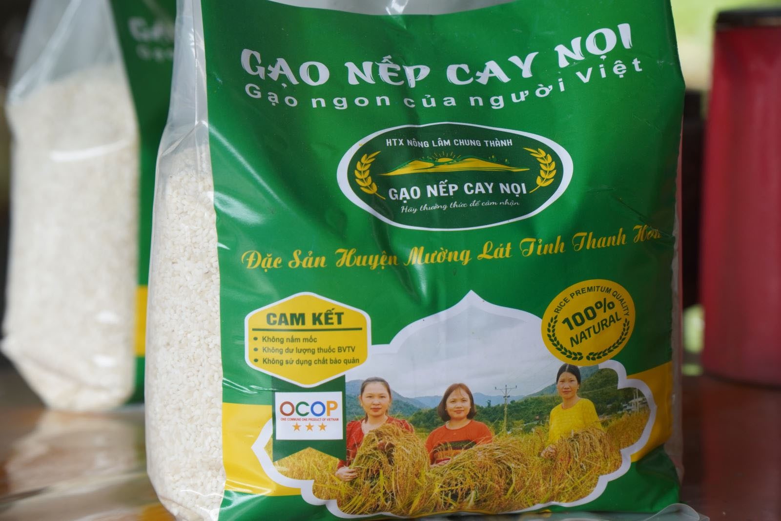 Lúa nếp Cay Nọi có dạng tròn, màu trắng đục, lúa khi chín màu vàng, màu đỏ tía, khi đồ lên có mùi thơm ngọt, mềm dẻo.