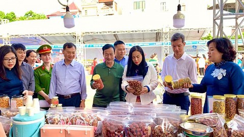 ha noi quang ba gioi thieu san pham ocop