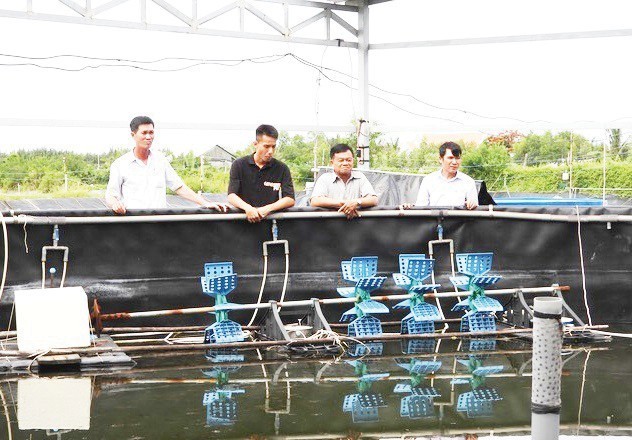 Làm giàu nhờ ứng dụng công nghệ cao trong nuôi tôm Làm giàu nhờ ứng dụng công nghệ cao trong nuôi tôm