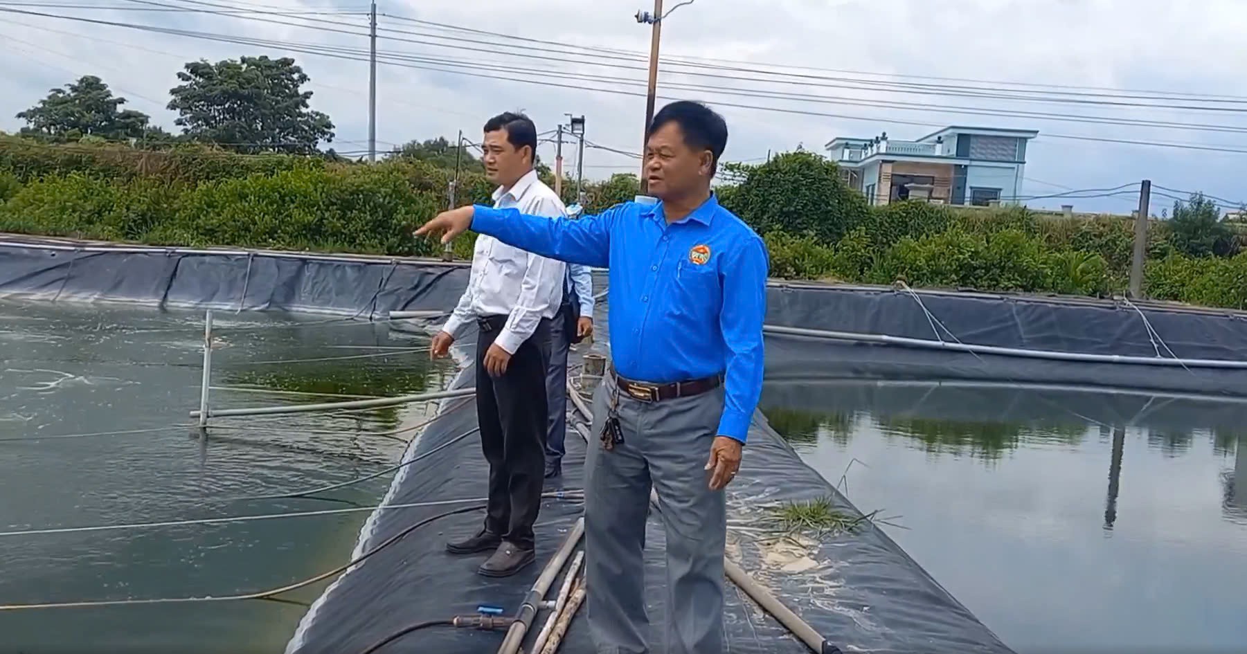 Nông dân sản xuất, kinh doanh giỏi năm 2023 Nguyễn Văn Sành, xã Phước Vĩnh Tây, huyện Cần Giuộc, (tỉnh Long An) chia sẻ kinh nghiệm nuôi tôm công nghệ cao Nông dân sản xuất, kinh doanh giỏi năm 2023 Nguyễn Văn Sành, xã Phước Vĩnh Tây, huyện Cần Giuộc, (tỉnh Long An) chia sẻ kinh nghiệm nuôi tôm công nghệ cao