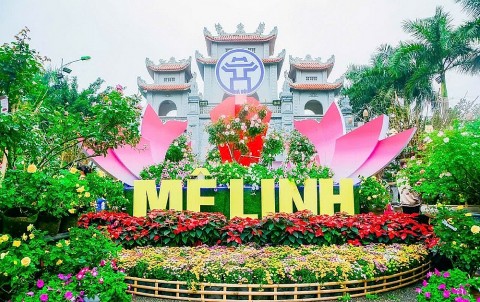 festival hoa me linh lan thu 2 le hoi hoa lon nhat mien bac