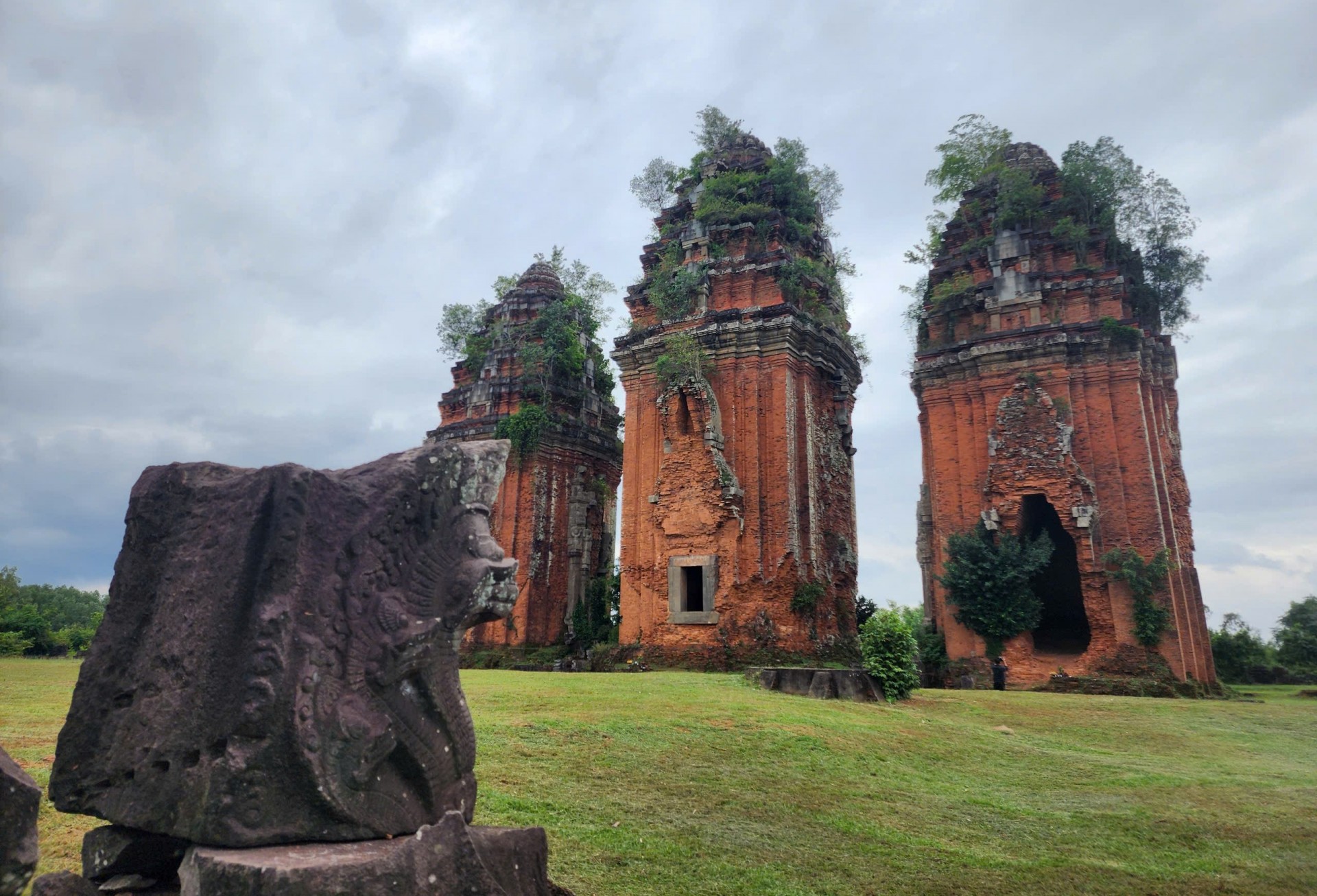 Bình Định: Vẻ đẹp hình tượng rắn Naga trên tháp Dương Long