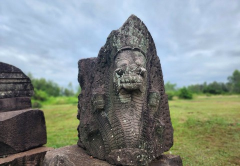 Bình Định: Vẻ đẹp hình tượng rắn Naga trên tháp Dương Long