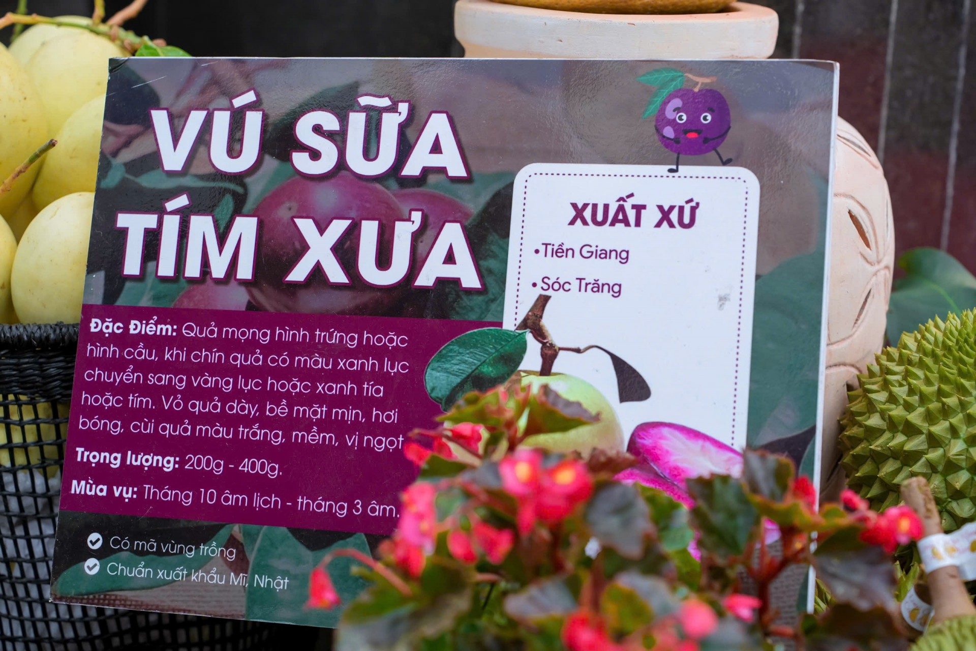 TP.HCM: Đông đảo người dân hưởng ứng lễ hội tôn vinh nông sản Việt  TP.HCM: Đông đảo người dân hưởng ứng lễ hội tôn vinh nông sản Việt