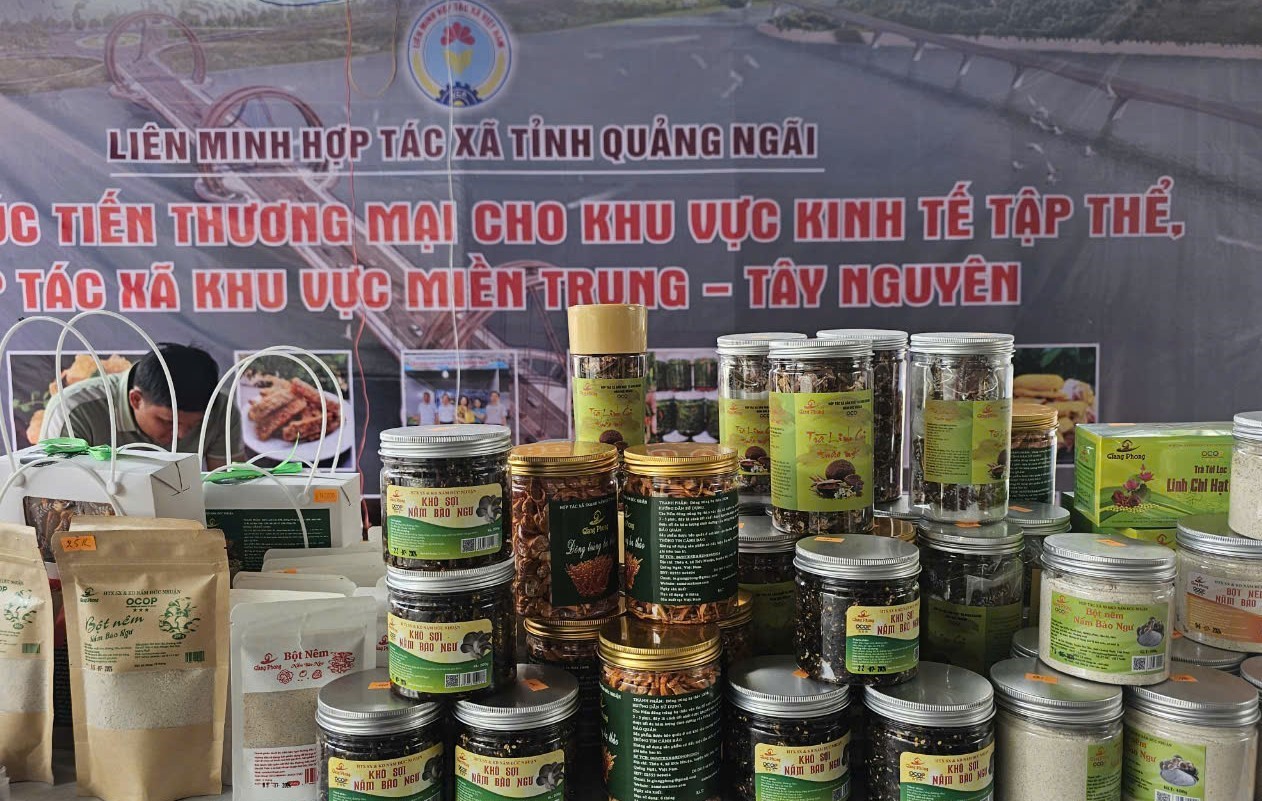 Quảng Ngãi: Đánh giá, phân hạng sản phẩm OCOP đạt 4, 5 sao Quảng Ngãi: Đánh giá, phân hạng sản phẩm OCOP đạt 4, 5 sao