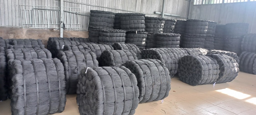 Ông Lê Văn Sái cần mẫn tại đường đậu dây keo Ông Lê Văn Sái cần mẫn tại đường đậu dây keo