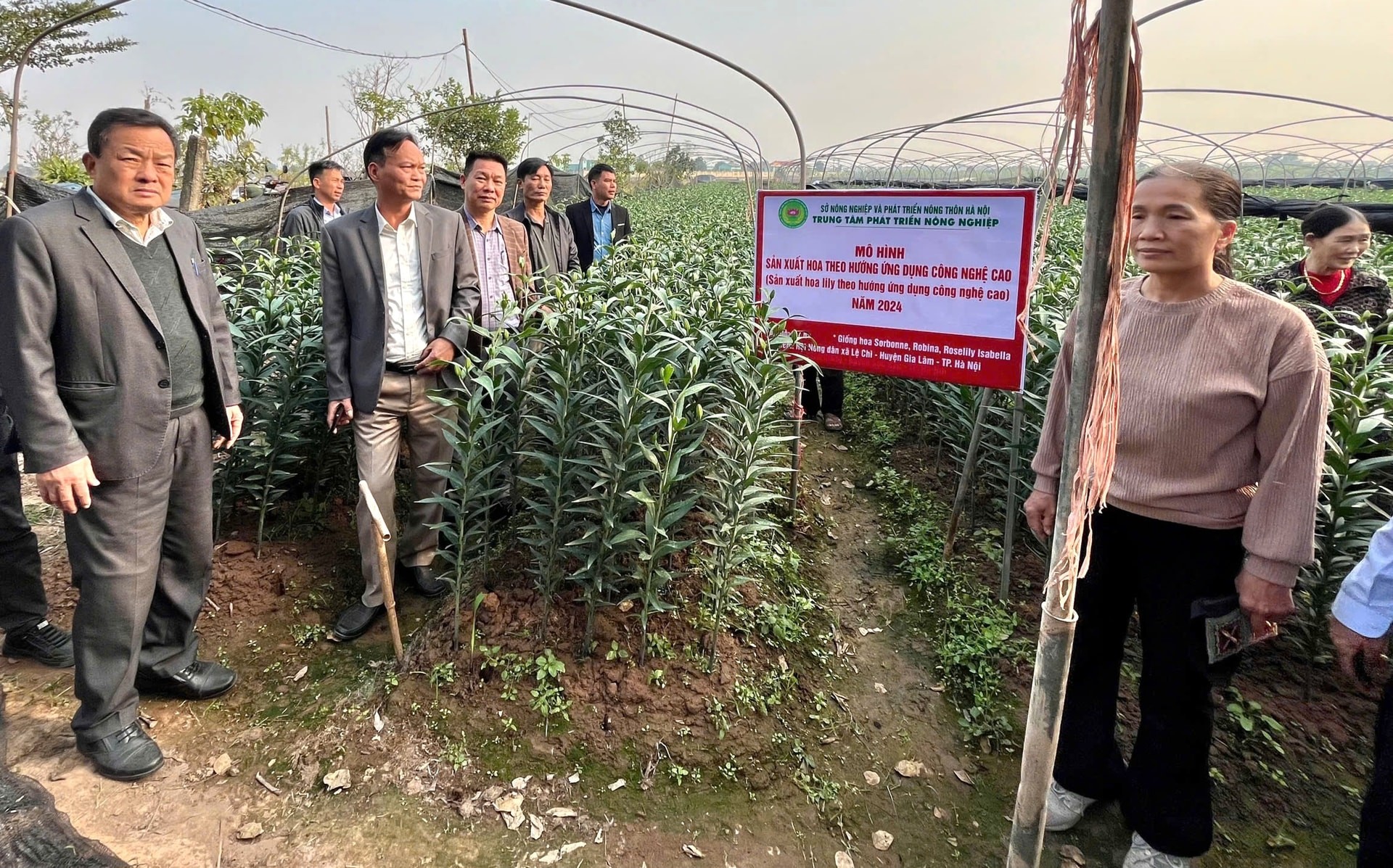 Mô hình sản xuất hoa lily ứng dụng công nghệ cao ở Lệ Chi cho thu nhập hàng trăm triệu đồng/ha/vụ Mô hình sản xuất hoa lily ứng dụng công nghệ cao ở Lệ Chi cho thu nhập hàng trăm triệu đồng/ha/vụ