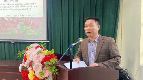 Mô hình sản xuất hoa lily ứng dụng công nghệ cao ở Lệ Chi cho thu nhập hàng trăm triệu đồng/ha/vụ