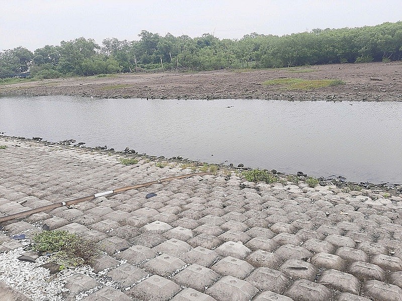 Theo chuyên gia, việc sử dụng thiếu hiệu quả nguồn nước ngọt là một trong những nguyên nhân thúc đẩy quá trình sạt lở đất bờ sông Theo chuyên gia, việc sử dụng thiếu hiệu quả nguồn nước ngọt là một trong những nguyên nhân thúc đẩy quá trình sạt lở đất bờ sông