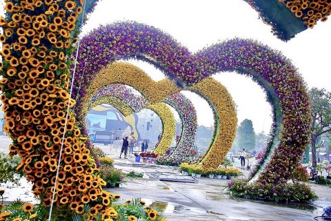 festival hoa me linh ton vinh nghe trong hoa