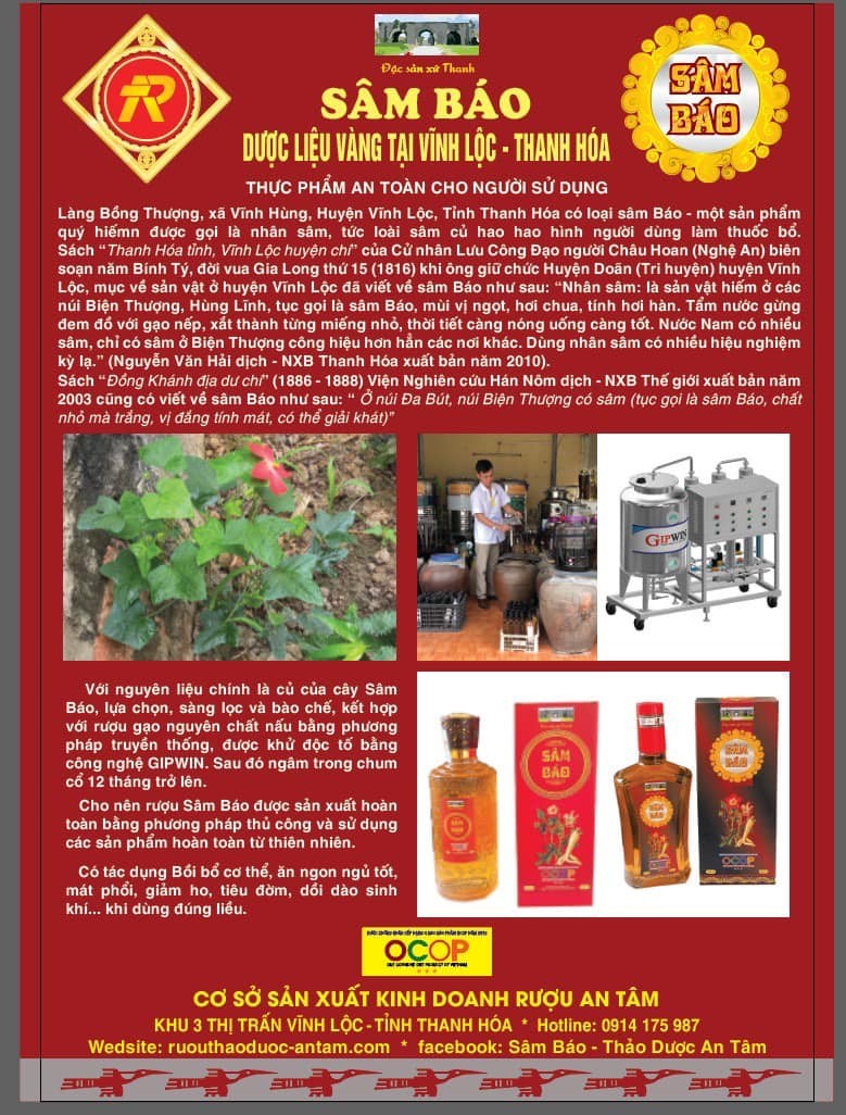 “Rượu Sâm Báo An Tâm” - Thương hiệu OCOP xứ Thanh “Rượu Sâm Báo An Tâm” - Thương hiệu OCOP xứ Thanh