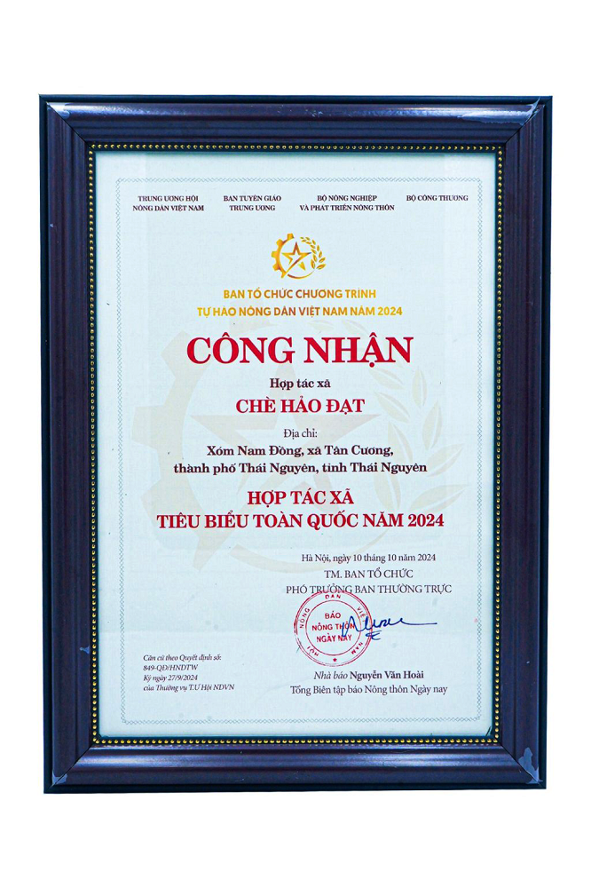 Nghệ nhân làng nghề Việt Nam Đào Thanh Hảo: Góp phần tạo dựng thương hiệu chè Thái Nguyên Nghệ nhân làng nghề Việt Nam Đào Thanh Hảo: Góp phần tạo dựng thương hiệu chè Thái Nguyên