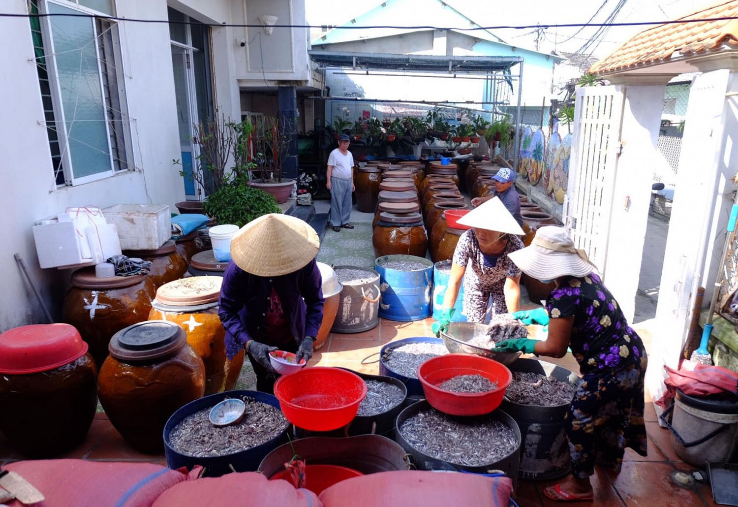 Làng nghề nước mắm Nam Ô Làng nghề nước mắm Nam Ô