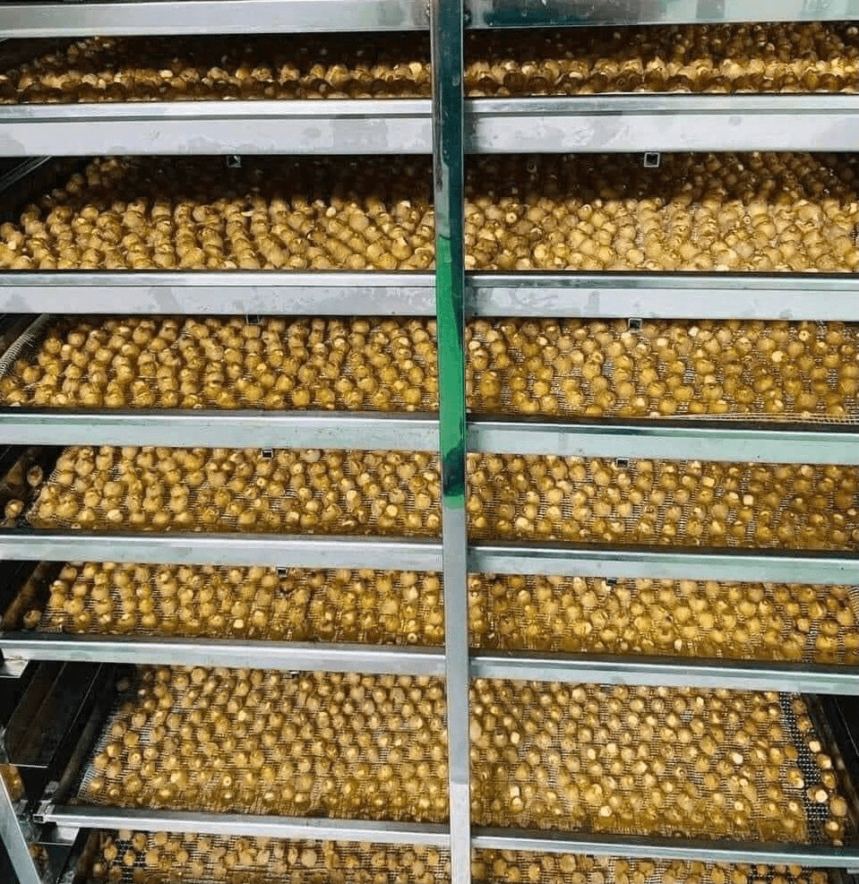 Chàng trai trẻ đất nhãn đã mang lại thương hiệu cho đặc sản quê hương Chàng trai trẻ đất nhãn đã mang lại thương hiệu cho đặc sản quê hương