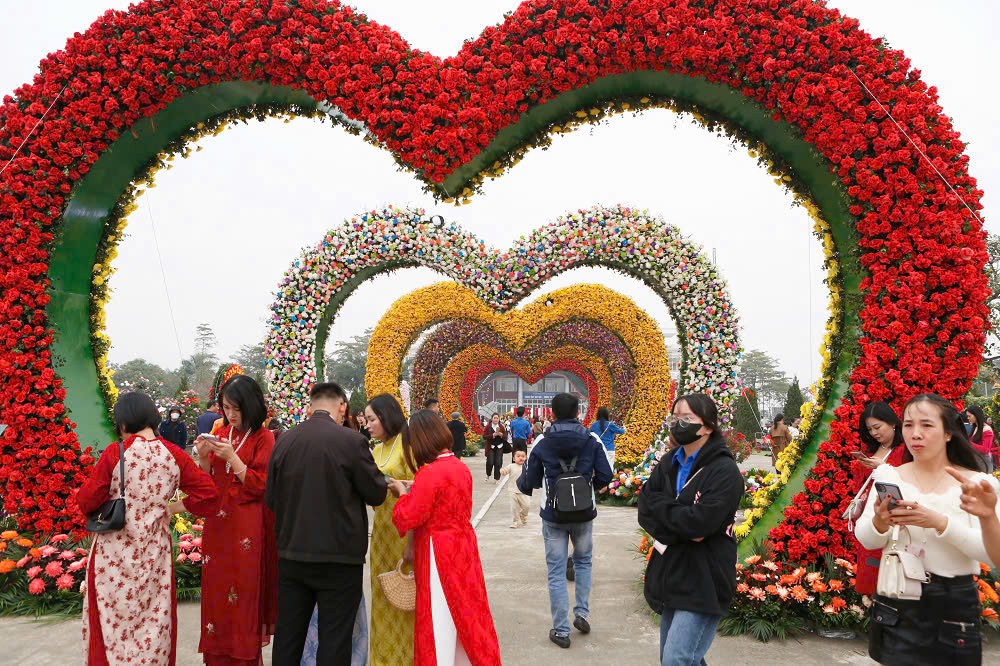 Festival hoa Mê Linh lần thứ 2: Vinh danh giá trị nghề trồng hoa Festival hoa Mê Linh lần thứ 2: Vinh danh giá trị nghề trồng hoa