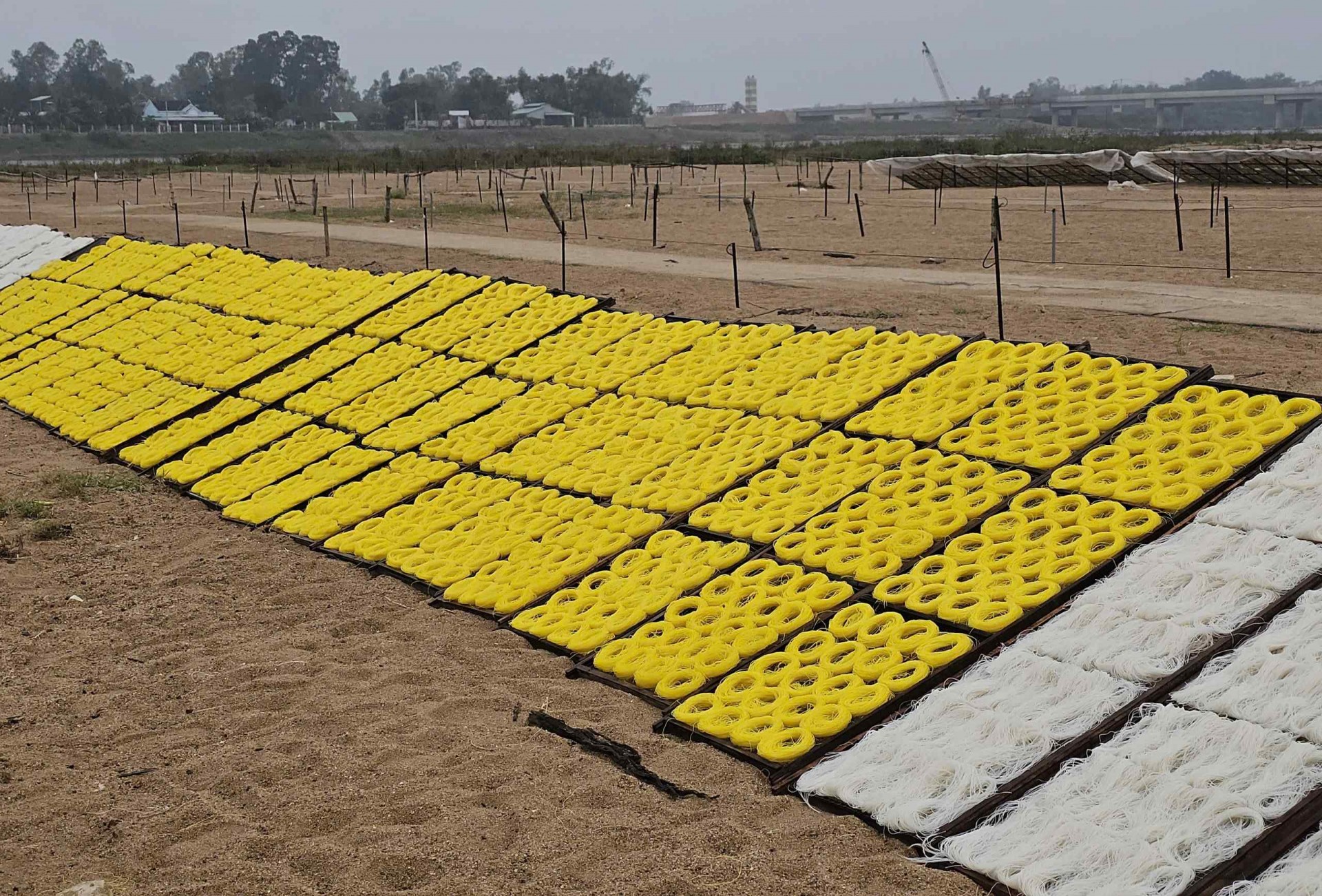 Bình Định: Làng nghề Bún – Bánh An Thái tất bật vào Tết Bình Định: Làng nghề Bún – Bánh An Thái tất bật vào Tết